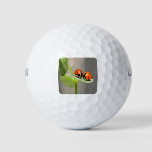 Kissing Ladybugs Golf Balls