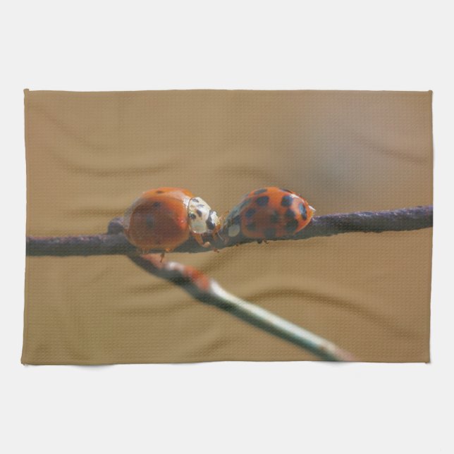 Kissing Ladybugs On A Wire Fence Close Up  Kitchen Towel (Horizontal)
