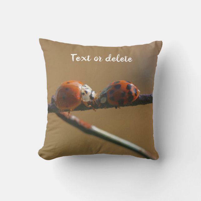 Kissing Ladybugs On A Wire Fence Personalized Throw Pillow (Front)