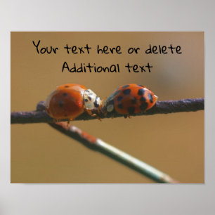 Kissing Ladybugs Personalized Poster