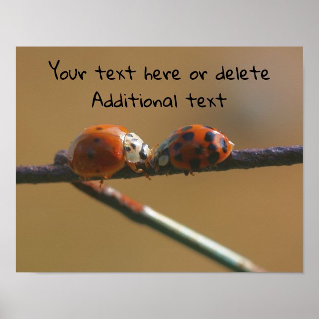 Kissing Ladybugs Personalized Poster (Front)