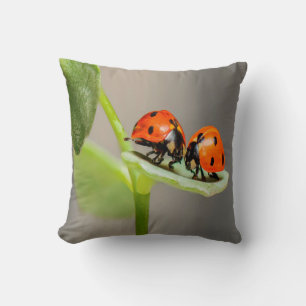 Kissing Ladybugs Throw Pillow