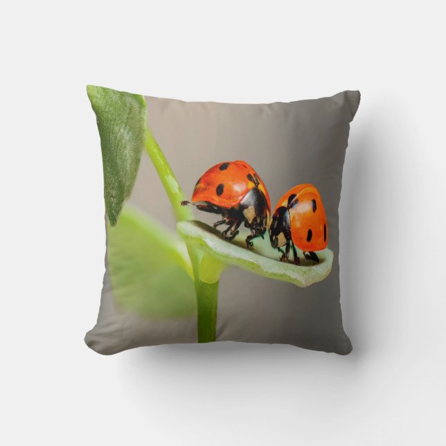 Kissing Ladybugs Throw Pillow (Front)