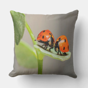 Kissing Ladybugs Throw Pillow