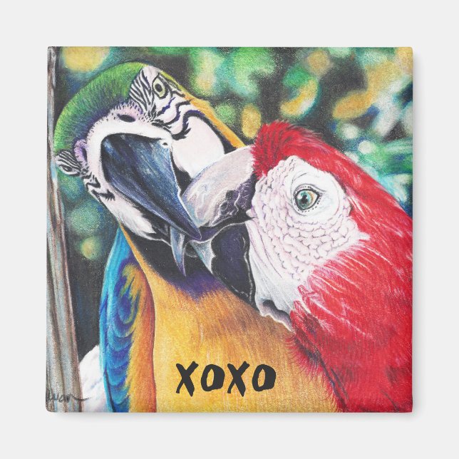 kissing macaws magnet (Front)