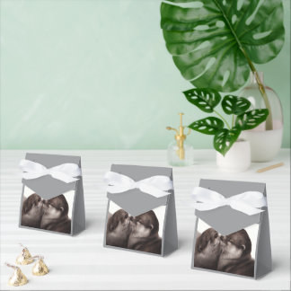 Kissing Otters - Hand Painted Wildlife Art Favor Box