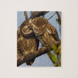 Kissing Owls Jigsaw Puzzle<br><div class="desc">Cute kissing owls</div>