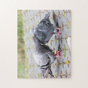 Kissing pigeons jigsaw puzzle