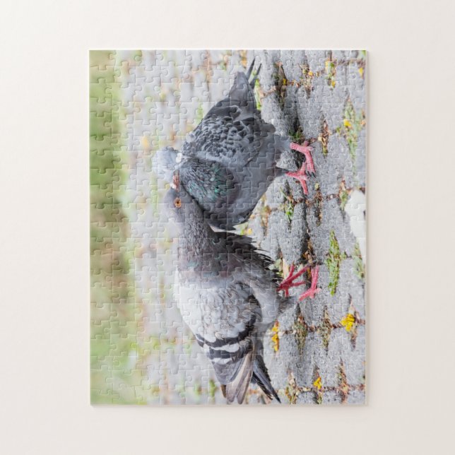 Kissing pigeons jigsaw puzzle (Vertical)