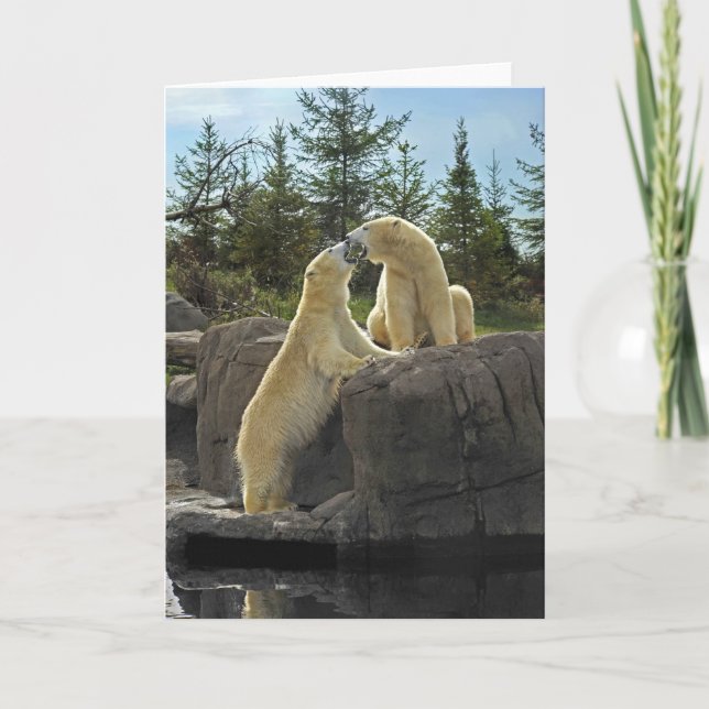 Kissing Polar Bears Card (Front)