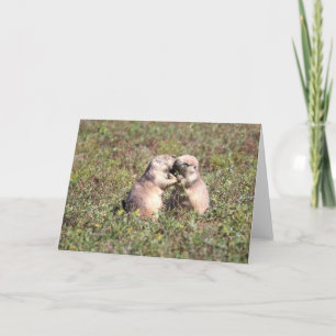 Kissing Prairie Dogs Card