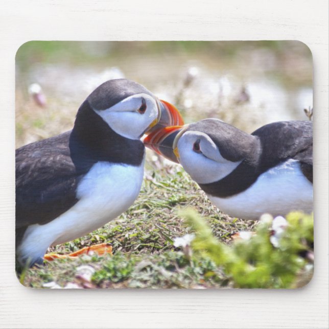 Kissing Puffins Mousemat Mouse Pad (Front)