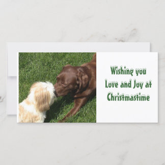 Kissing Shihtzu & Choc Lab Dogs Xmas Holiday Card