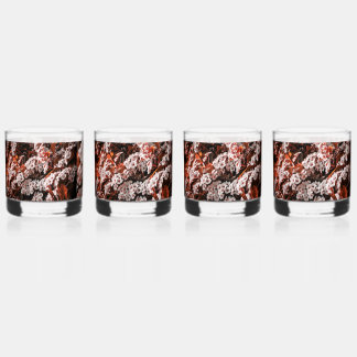 Kit de boisson petits verres