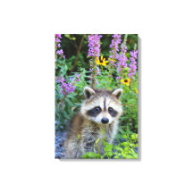 Kit Raccoon parmi l'impression de toile de fleurs.