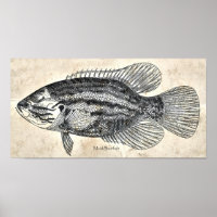 Kitchen Decor Wall Art Vintage Fish Mud Sunfish