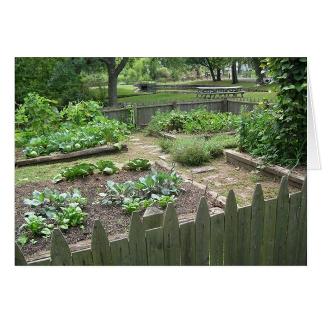 Kitchen Garden II (Front Horizontal)