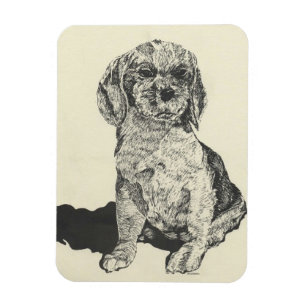 Kitchen Magnet , Cocker Spaniel