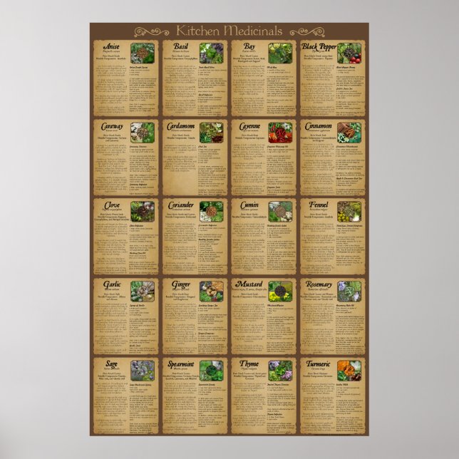 Kitchen Medicinals Poster (Front)