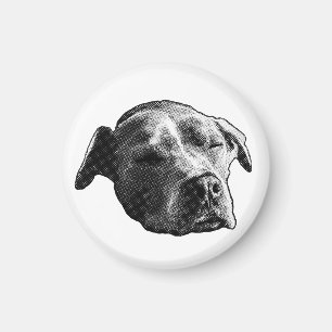 Kitchen-Quiet Cameo Magnet