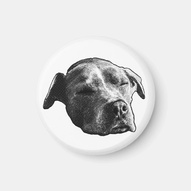Kitchen-Quiet Cameo Magnet (Front)