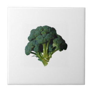 KITCHEN TILE BROCCOLI WITH MATCHING ITEMS SEE ARA