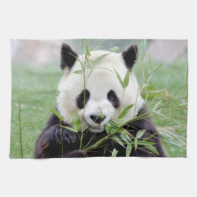 kitchen towel Photo giant panda , animals 0221. (Horizontal)