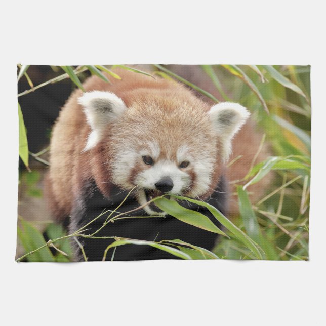 kitchen towel Photo red panda , animals 0337. (Horizontal)