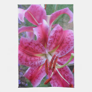 Kitchen Towel--Stargazers-2 Towel