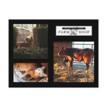 Kitchens Garden Collage Postcard