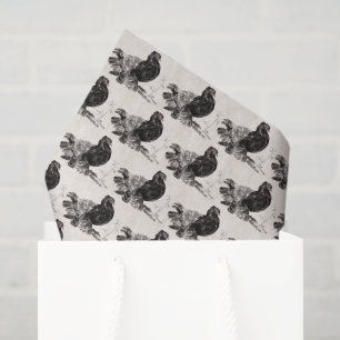 Kite an Indian Fantailed Pigeon Tissue Paper