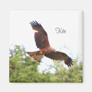 Kite in flight..... magnet