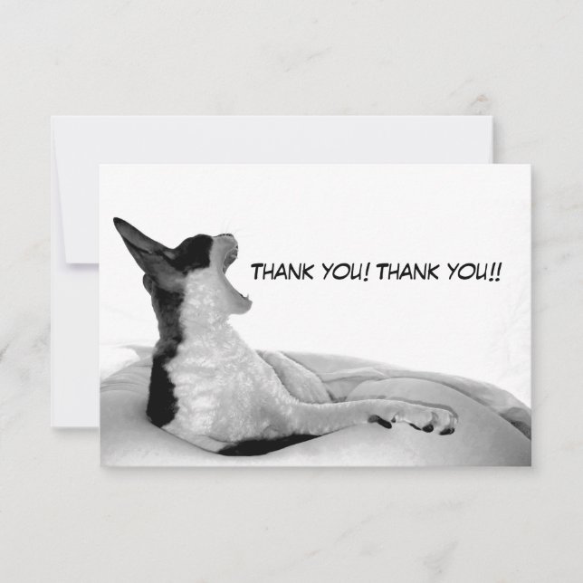 Kitsa Diva: Queen of Her doman Thank You Card (Front)