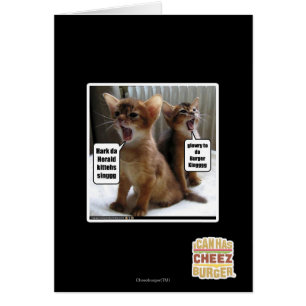 Kitteh carols