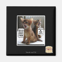 Kitteh carols