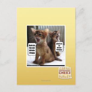 Kitteh carols postcard