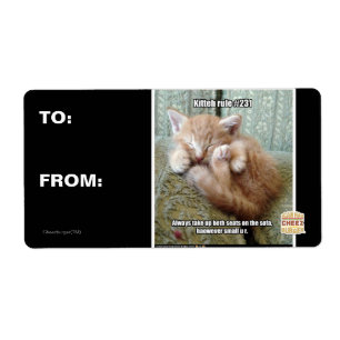 Kitteh rule #231