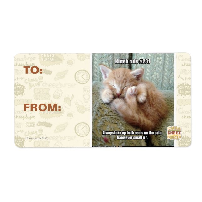 Kitteh rule #231 (Front)