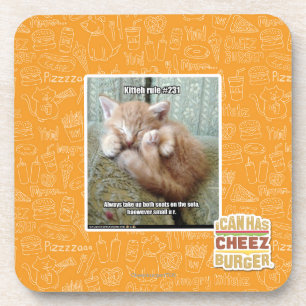 Kitteh rule #231 coaster