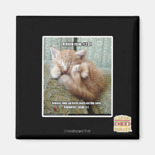 Kitteh rule #231 magnet