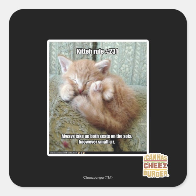Kitteh rule #231 square sticker (Front)