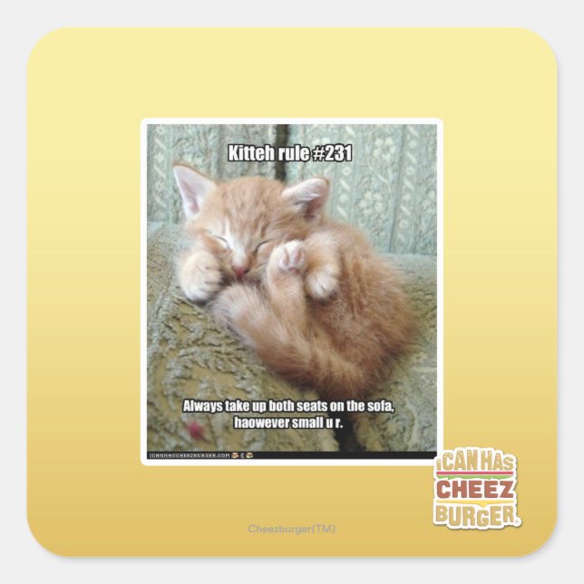 Kitteh rule #231 square sticker (Front)