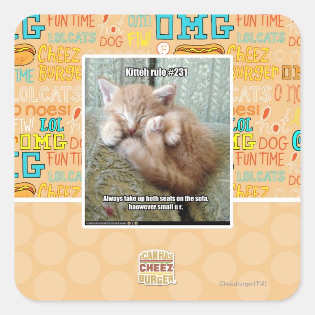 Kitteh rule #231 square sticker (Front)