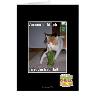 Kitteh végétarien