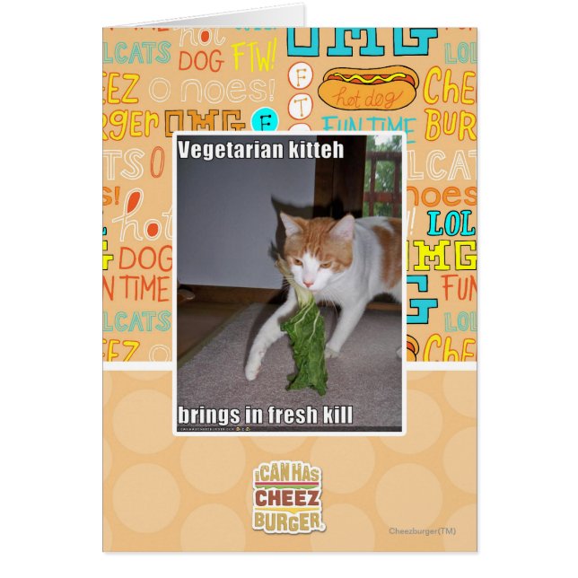 Kitteh végétarien (Devant)