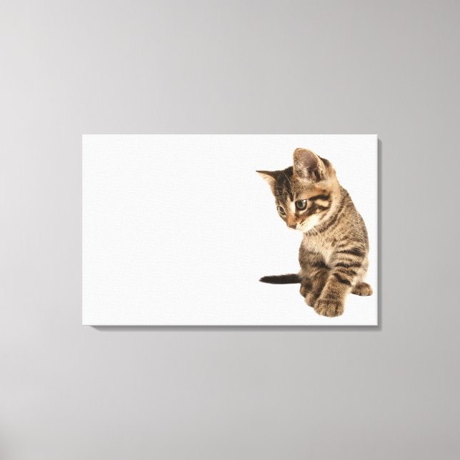 Kitten 2 canvas print (Front)