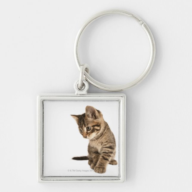 Kitten 2 keychain (Front)