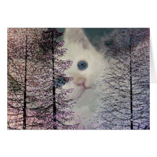 Kitten à Woods
