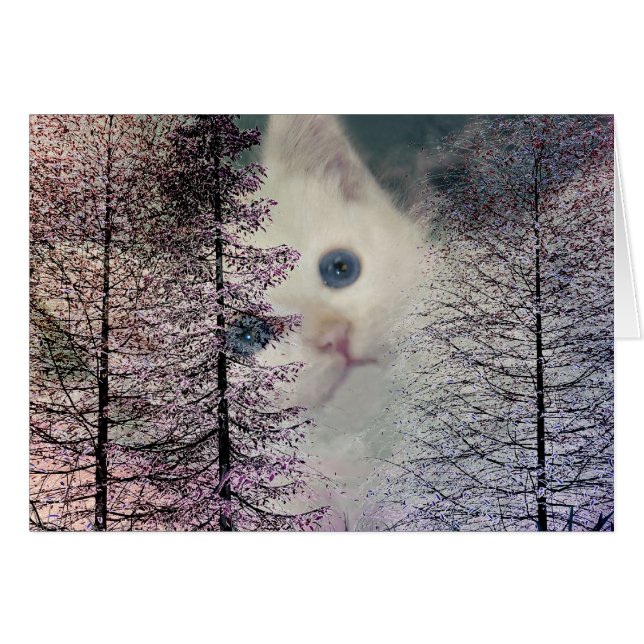 Kitten à Woods (Devant Horizontal)