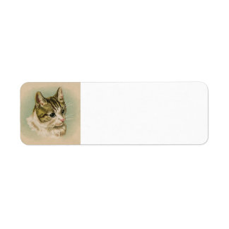 Kitten address label